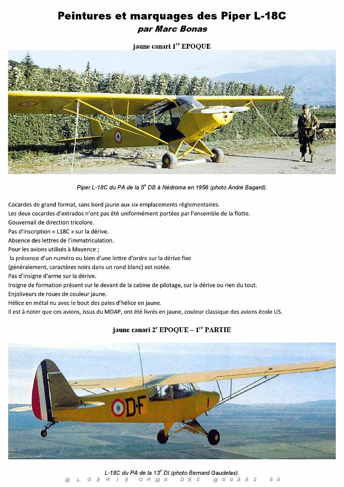 610 LE PIPER L-18C 1ERE PARTIE PAR CHRISTIAN MALCROS_000011.jpg